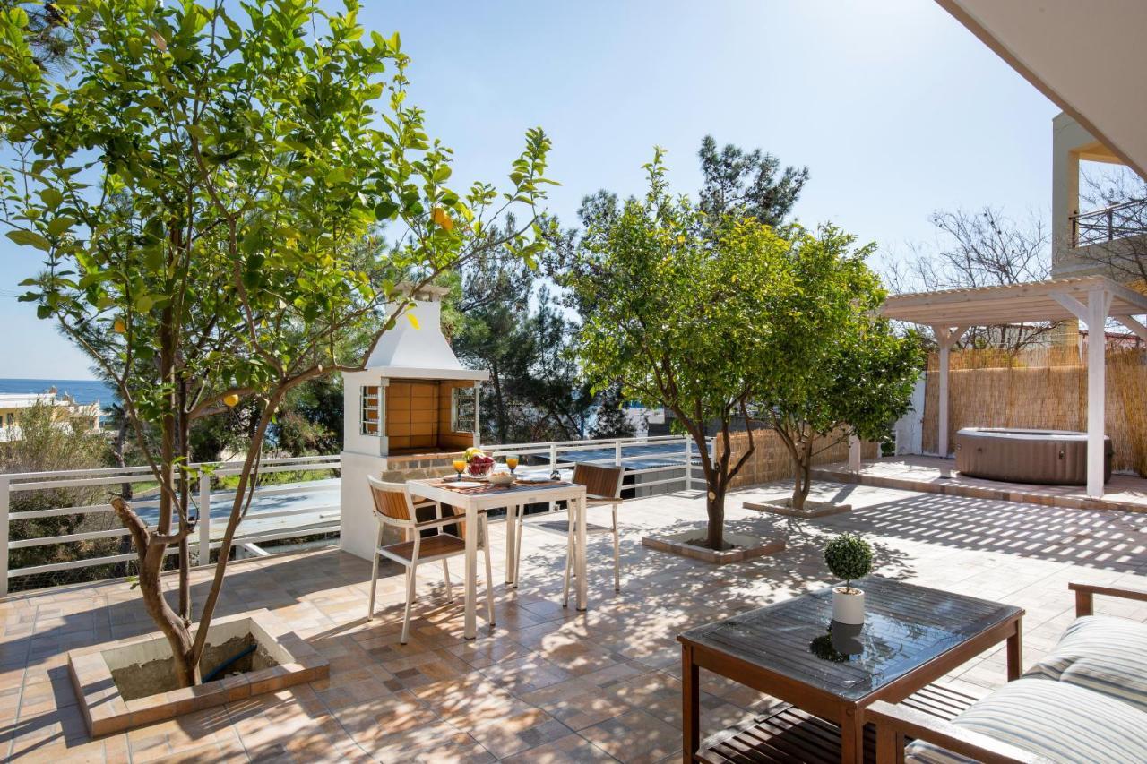 Theros Luxury Apartment Archangelos  Esterno foto